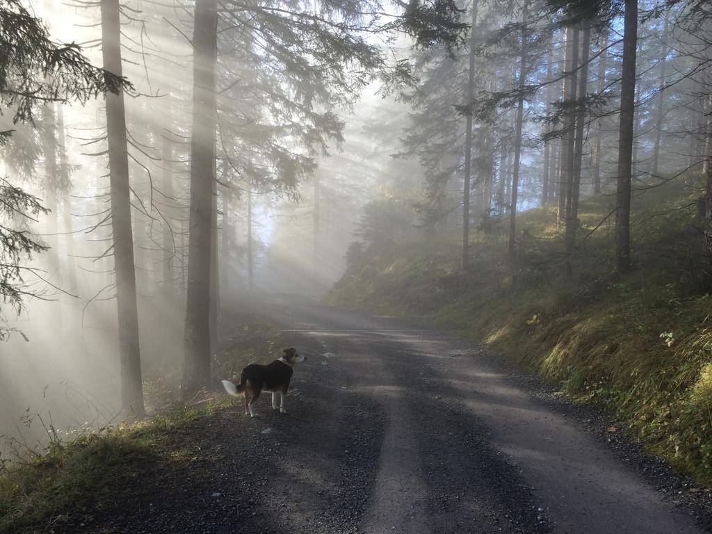 Apartmán Haus Waldrast Elbigenalp Exteriér fotografie